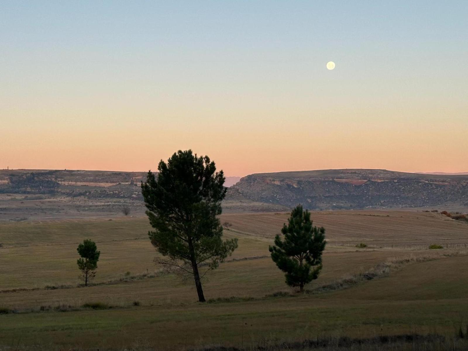 Rusplaas Guest Farm Otel Fouriesburg Dış mekan fotoğraf