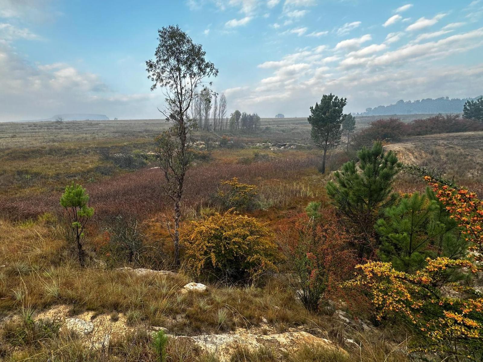 Rusplaas Guest Farm Otel Fouriesburg Dış mekan fotoğraf