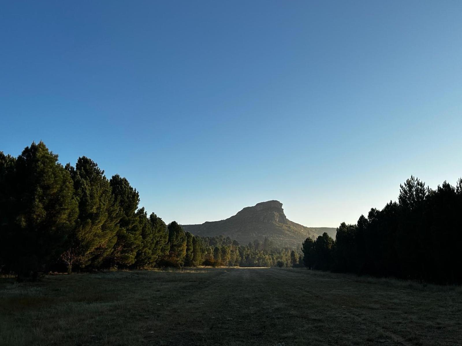 Rusplaas Guest Farm Otel Fouriesburg Dış mekan fotoğraf