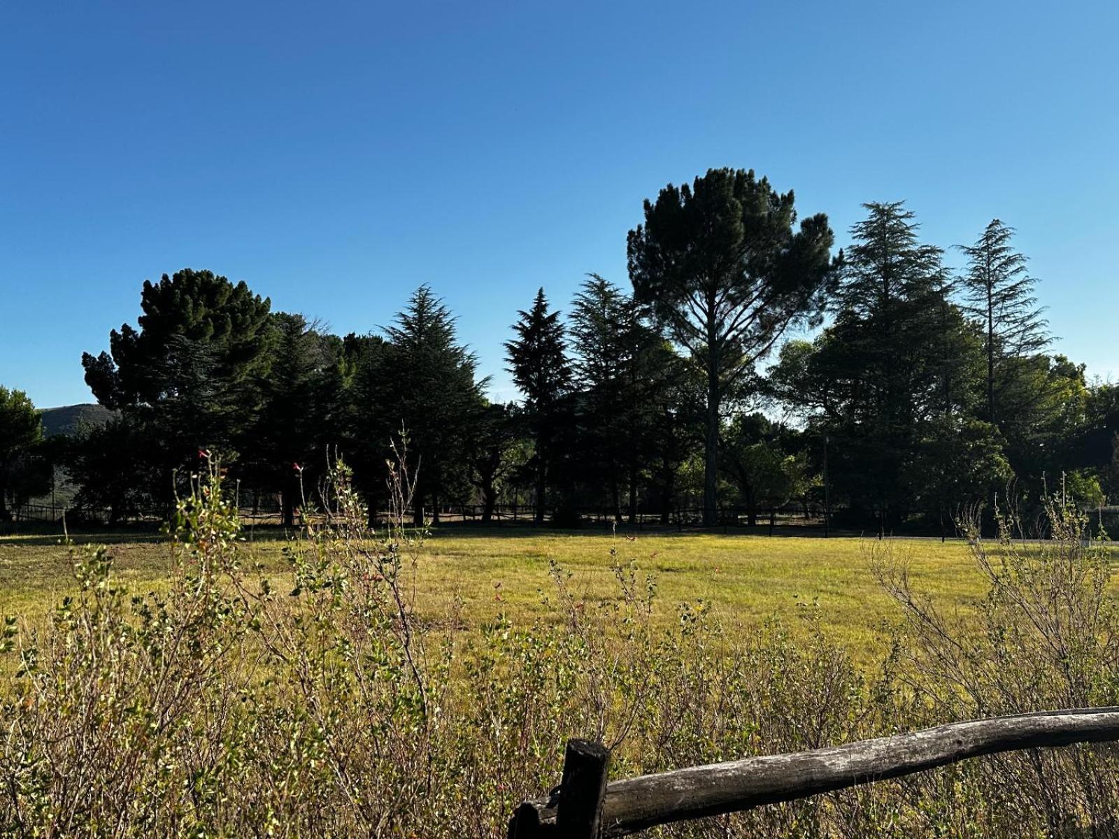 Rusplaas Guest Farm Otel Fouriesburg Dış mekan fotoğraf